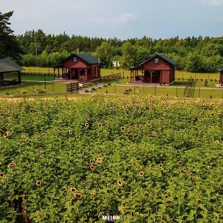 Siedlisko Anna Joniak *