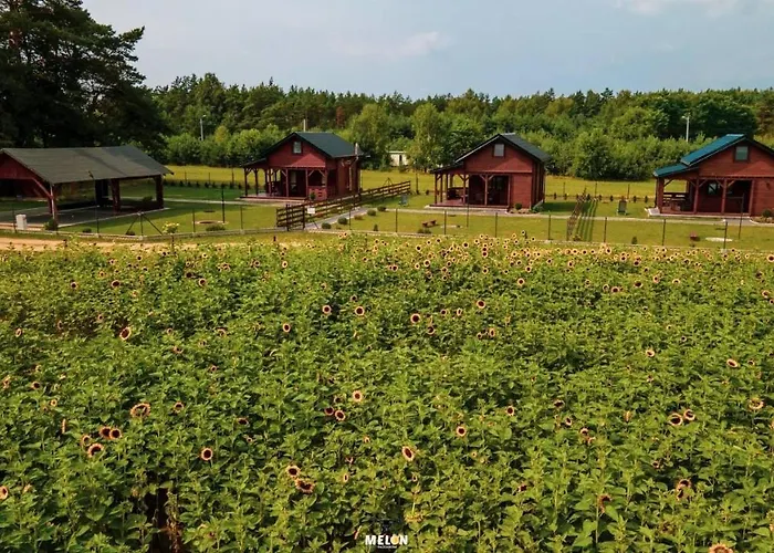 Siedlisko Anna Joniak *